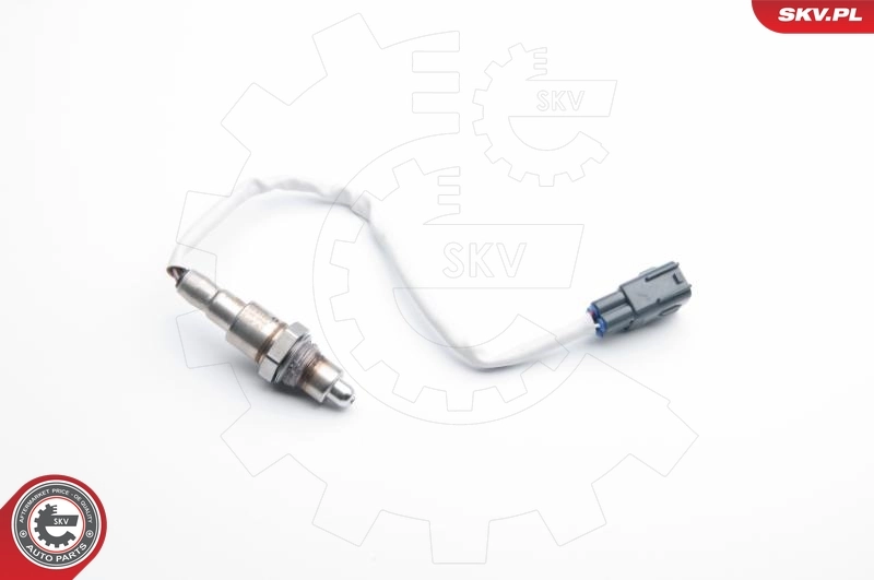 Oxygen Sensor